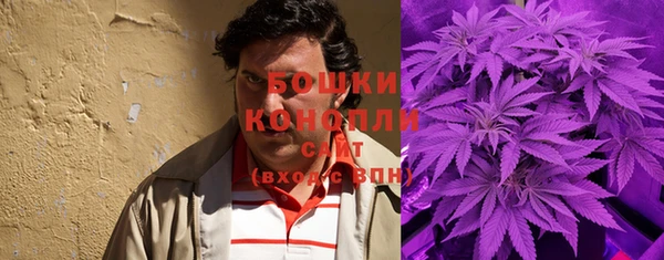 spice Новодвинск