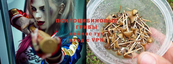 гашиш Нефтекумск