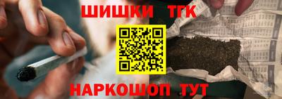 СК Гатчина