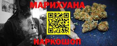 СК Гатчина