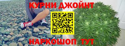 СК Гатчина
