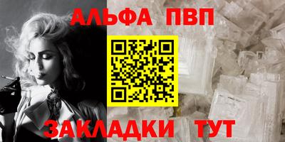 СК Гатчина