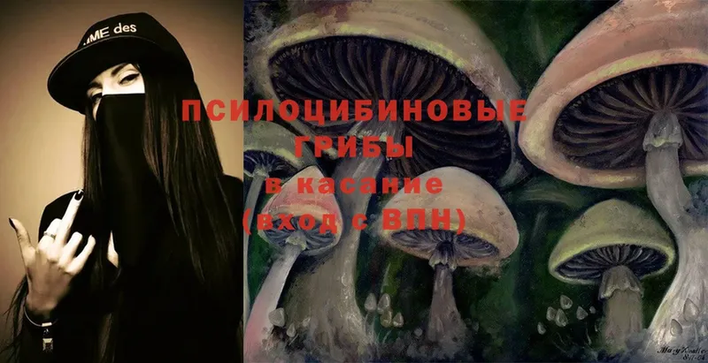 Галлюциногенные грибы MAGIC MUSHROOMS  наркотики  Зеленодольск 