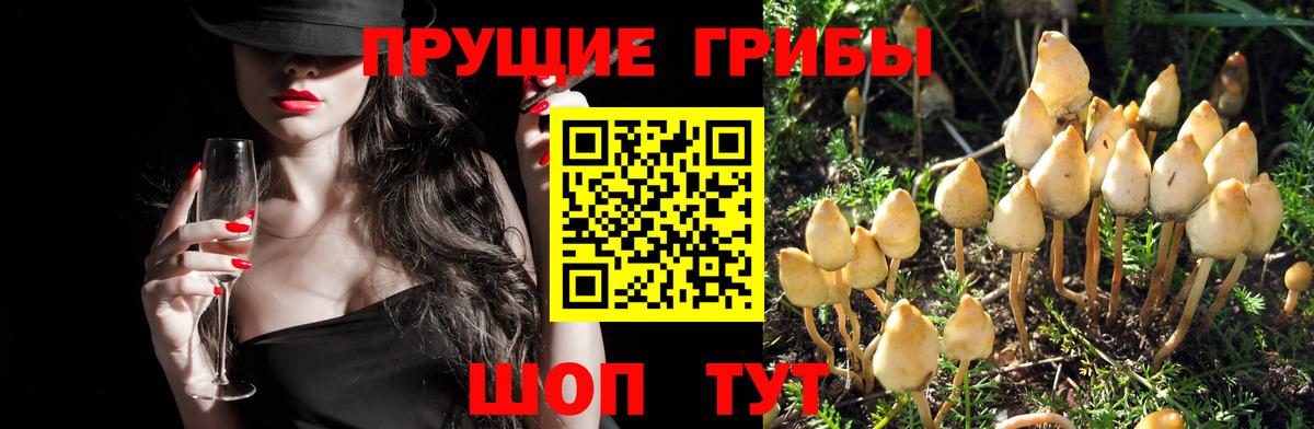MDMA  Зеленодольск  Мефедрон кристаллы  Вход с VPN  Бошки Шишки  ГАШИШ  Кокаин 