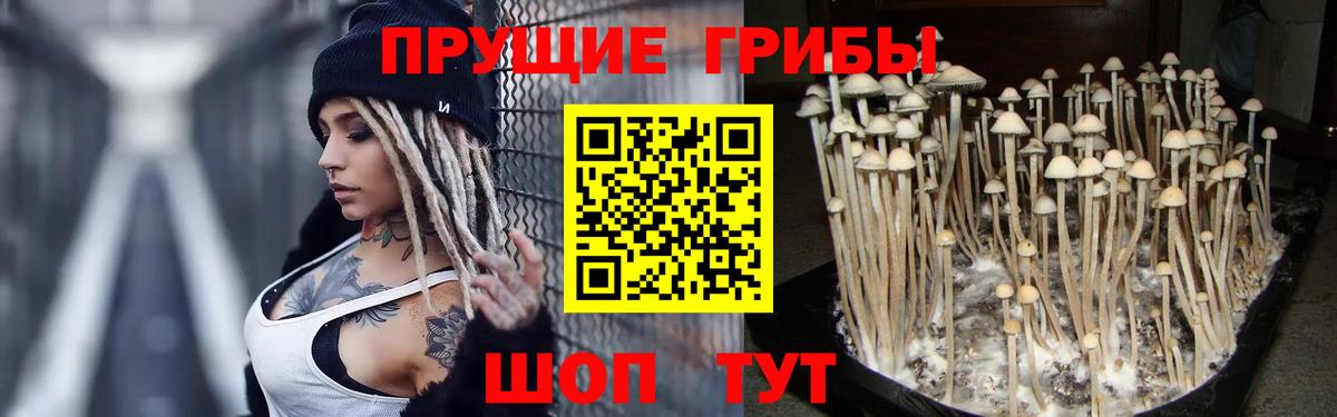 Псилоцибиновые грибы GOLDEN TEACHER Зеленодольск