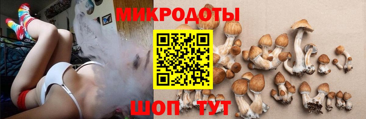 Зеленодольск  закладка  Вход с VPN  Псилоцибиновые грибы мухоморы 