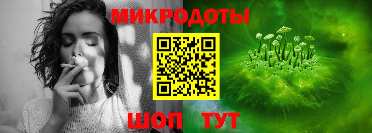 Псилоцибиновые грибы Cubensis  Зеленодольск 