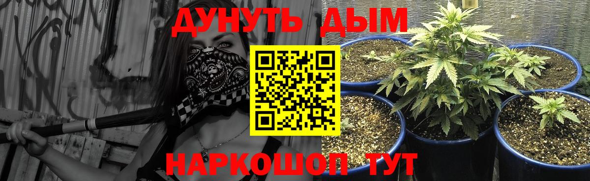 Каннабис OG Kush Зеленодольск